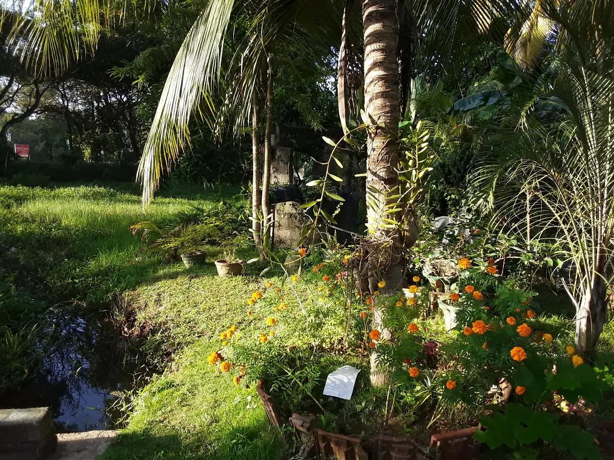 Asiri Homestay Sigiriya 0*,  Sri Lanka